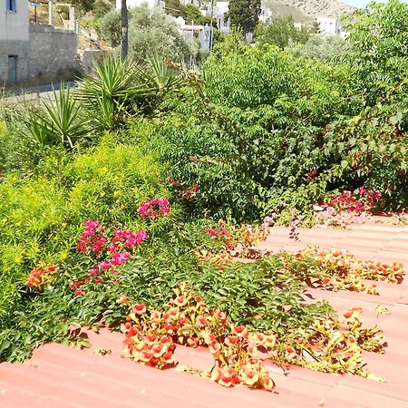 Caviri Appartement Galissas Buitenkant foto