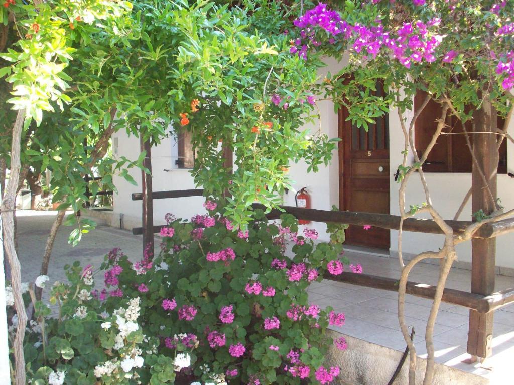 Caviri Appartement Galissas Kamer foto
