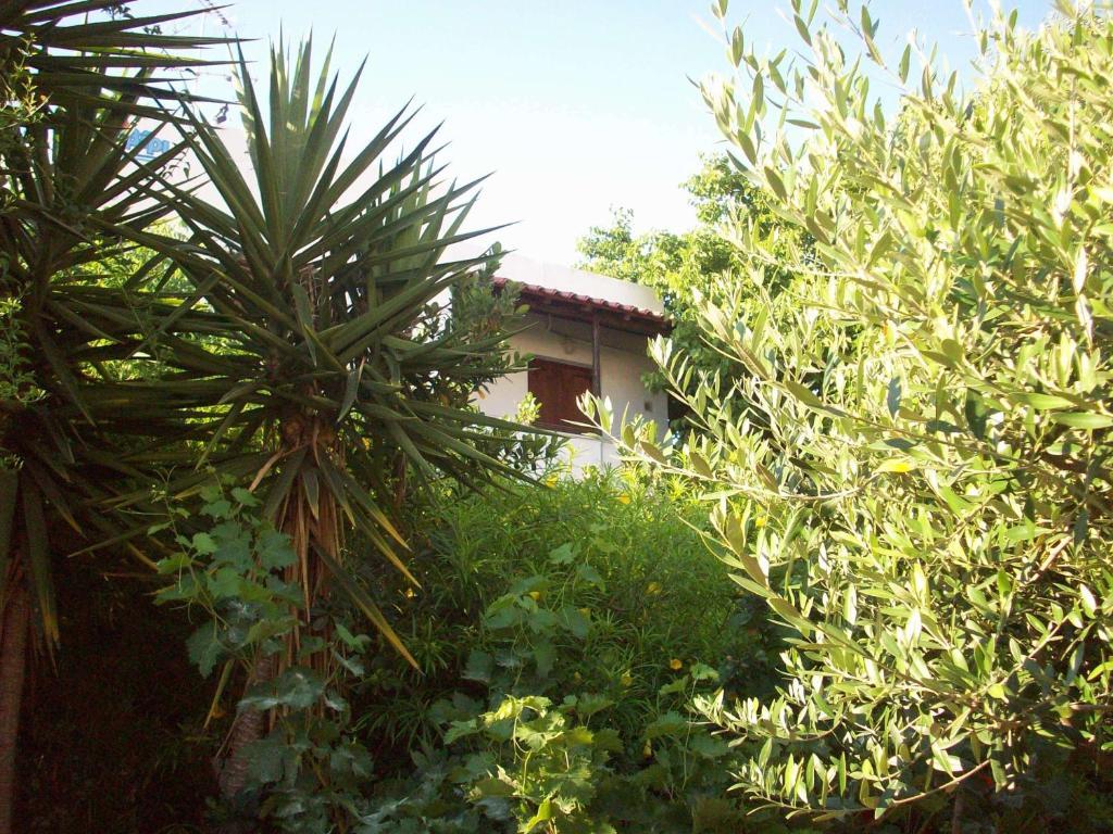 Caviri Appartement Galissas Kamer foto