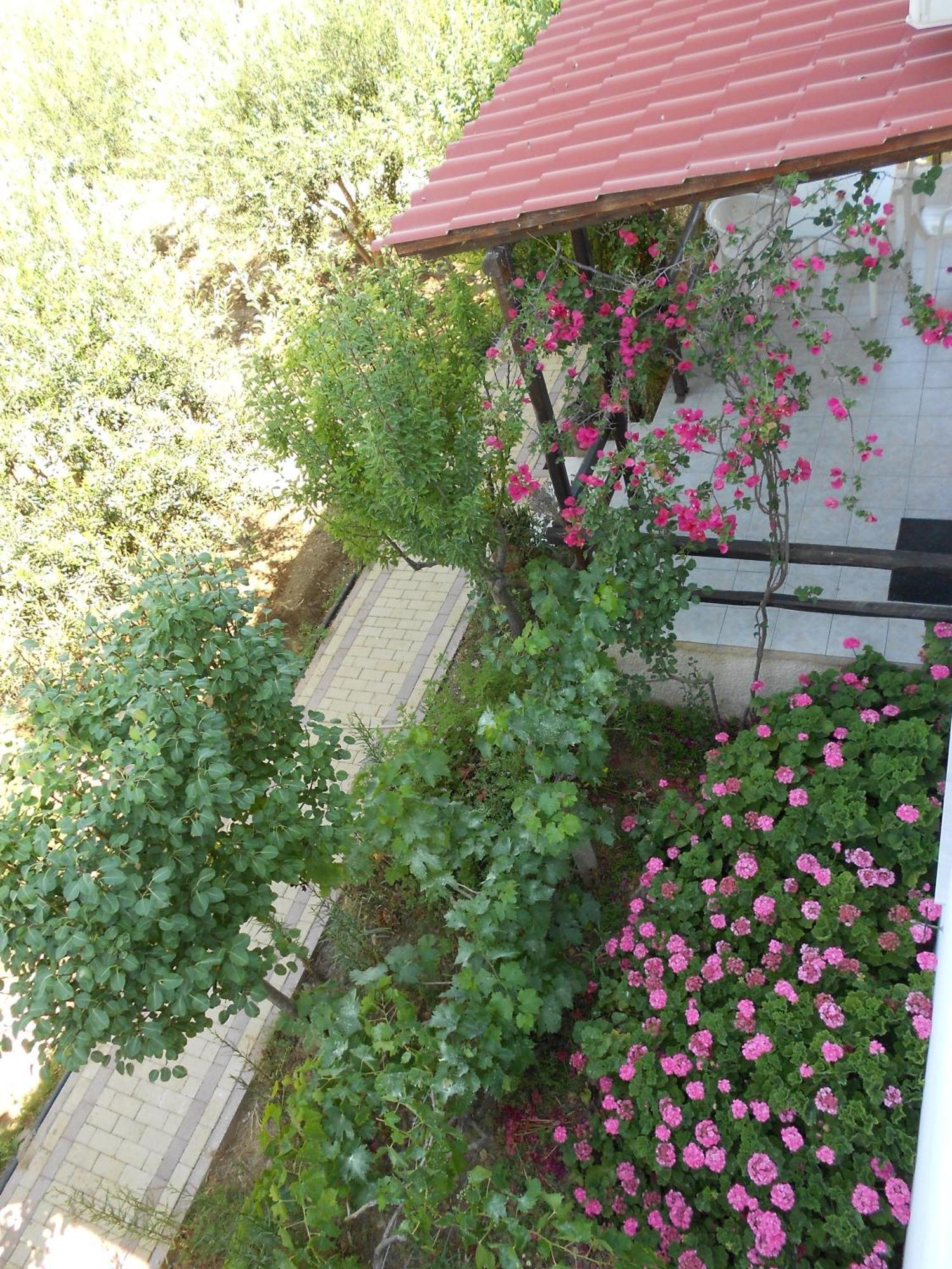 Caviri Appartement Galissas Buitenkant foto