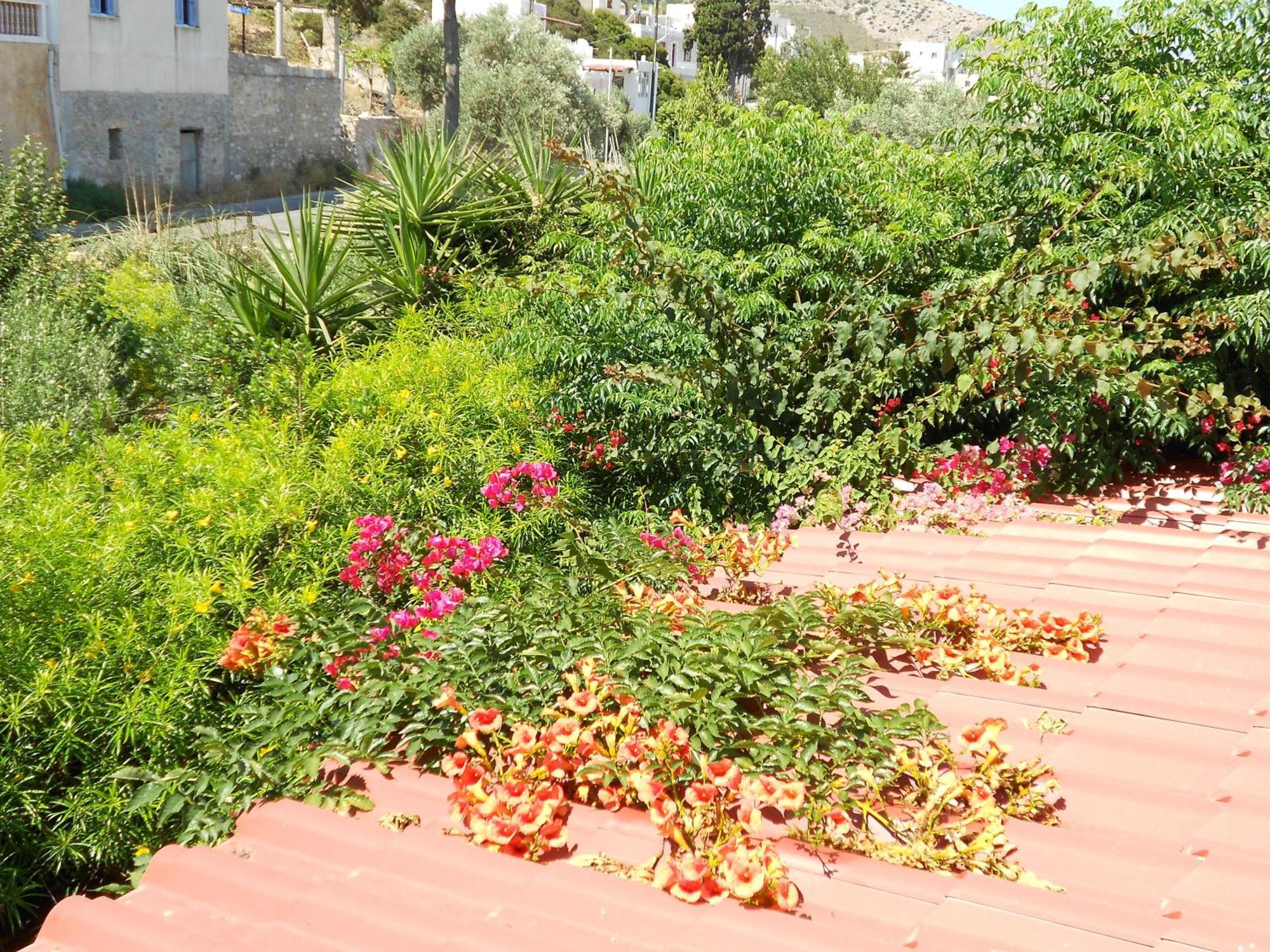 Caviri Appartement Galissas Buitenkant foto