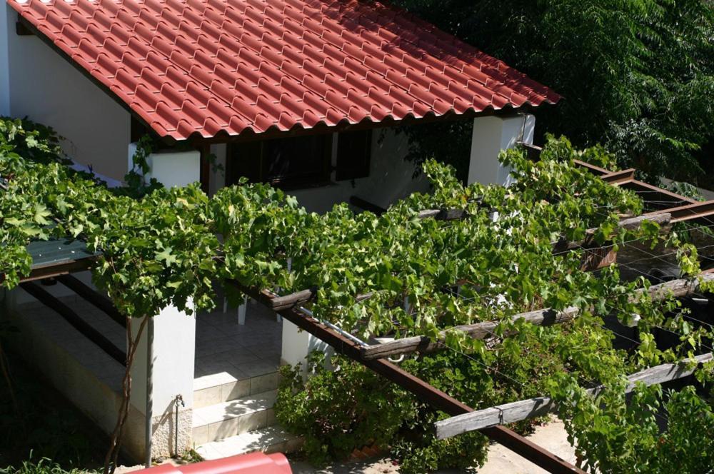 Caviri Appartement Galissas Buitenkant foto