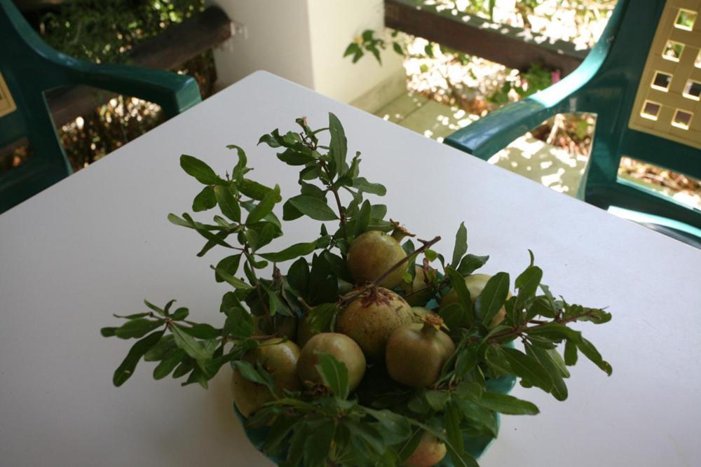 Caviri Appartement Galissas Buitenkant foto